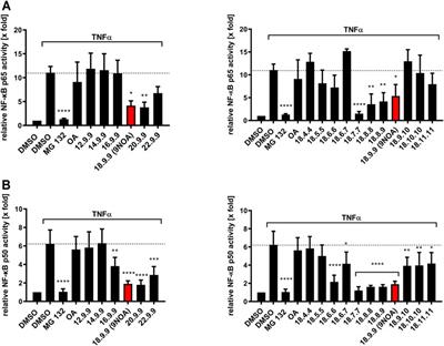 Structural Modifications Yield Novel Insights Into the Intriguing Pharmacodynamic Potential of Anti-inflammatory Nitro-Fatty Acids